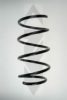 SPIDAN 56929 Coil Spring